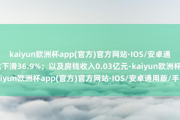 kaiyun欧洲杯app(官方)官方网站·IOS/安卓通用版/手机APP下载同比下滑36.9%；以及房钱收入0.03亿元-kaiyun欧洲杯app(官方)官方网站·IOS/安卓通用版/手机APP下载