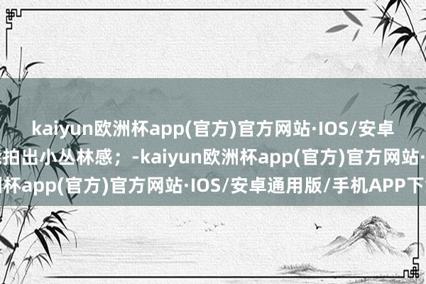 kaiyun欧洲杯app(官方)官方网站·IOS/安卓通用版/手机APP下载能拍出小丛林感；-kaiyun欧洲杯app(官方)官方网站·IOS/安卓通用版/手机APP下载