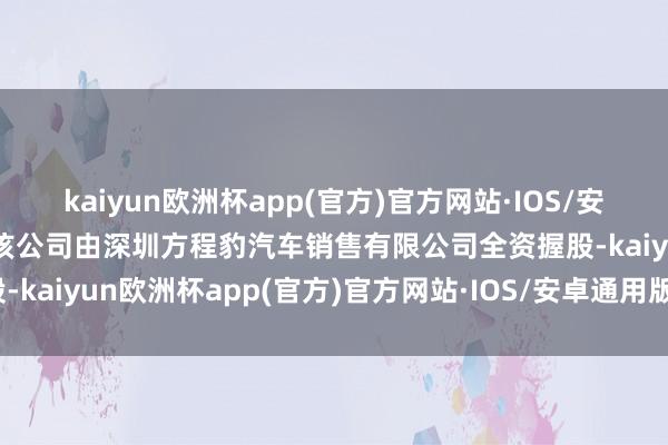 kaiyun欧洲杯app(官方)官方网站·IOS/安卓通用版/手机APP下载该公司由深圳方程豹汽车销售有限公司全资握股-kaiyun欧洲杯app(官方)官方网站·IOS/安卓通用版/手机APP下载