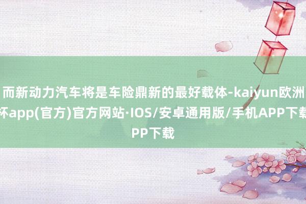 而新动力汽车将是车险鼎新的最好载体-kaiyun欧洲杯app(官方)官方网站·IOS/安卓通用版/手机APP下载