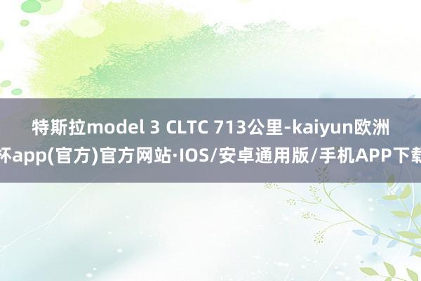 特斯拉model 3 CLTC 713公里-kaiyun欧洲杯app(官方)官方网站·IOS/安卓通用版/手机APP下载