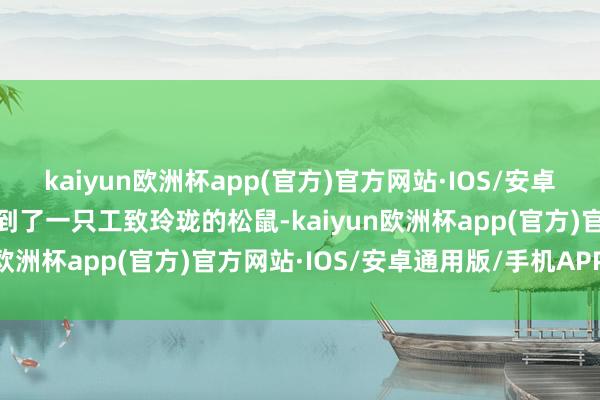 kaiyun欧洲杯app(官方)官方网站·IOS/安卓通用版/手机APP下载看到了一只工致玲珑的松鼠-kaiyun欧洲杯app(官方)官方网站·IOS/安卓通用版/手机APP下载