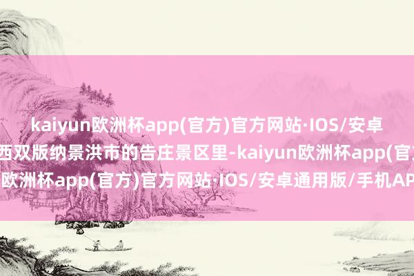 kaiyun欧洲杯app(官方)官方网站·IOS/安卓通用版/手机APP下载在西双版纳景洪市的告庄景区里-kaiyun欧洲杯app(官方)官方网站·IOS/安卓通用版/手机APP下载