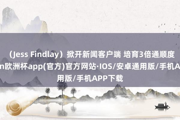 （Jess Findlay）掀开新闻客户端 培育3倍通顺度-kaiyun欧洲杯app(官方)官方网站·IOS/安卓通用版/手机APP下载