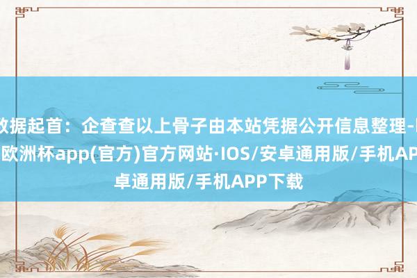 数据起首：企查查以上骨子由本站凭据公开信息整理-kaiyun欧洲杯app(官方)官方网站·IOS/安卓通用版/手机APP下载