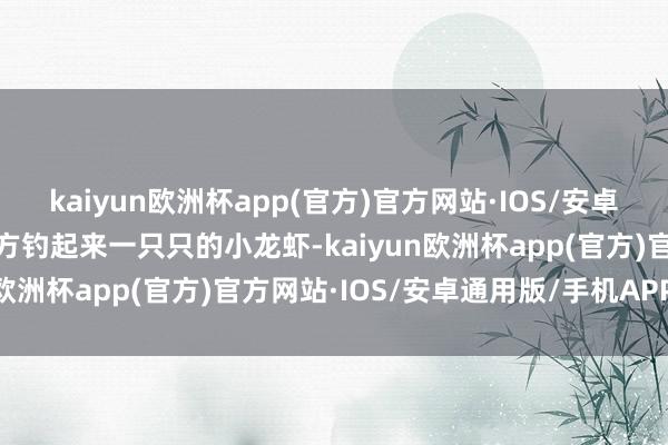 kaiyun欧洲杯app(官方)官方网站·IOS/安卓通用版/手机APP下载我方钓起来一只只的小龙虾-kaiyun欧洲杯app(官方)官方网站·IOS/安卓通用版/手机APP下载