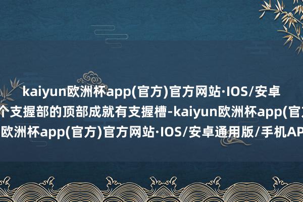 kaiyun欧洲杯app(官方)官方网站·IOS/安卓通用版/手机APP下载各个支握部的顶部成就有支握槽-kaiyun欧洲杯app(官方)官方网站·IOS/安卓通用版/手机APP下载