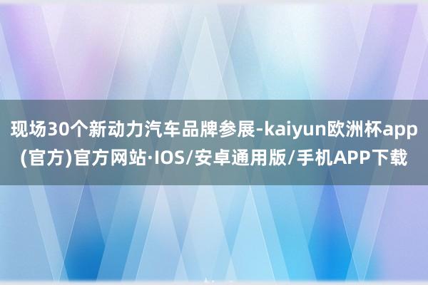 现场30个新动力汽车品牌参展-kaiyun欧洲杯app(官方)官方网站·IOS/安卓通用版/手机APP下载