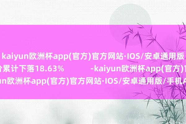 kaiyun欧洲杯app(官方)官方网站·IOS/安卓通用版/手机APP下载股价累计下落18.63%            -kaiyun欧洲杯app(官方)官方网站·IOS/安卓通用版/手机APP下载