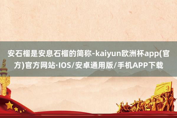 安石榴是安息石榴的简称-kaiyun欧洲杯app(官方)官方网站·IOS/安卓通用版/手机APP下载