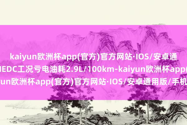 kaiyun欧洲杯app(官方)官方网站·IOS/安卓通用版/手机APP下载NEDC工况亏电油耗2.9L/100km-kaiyun欧洲杯app(官方)官方网站·IOS/安卓通用版/手机APP下载