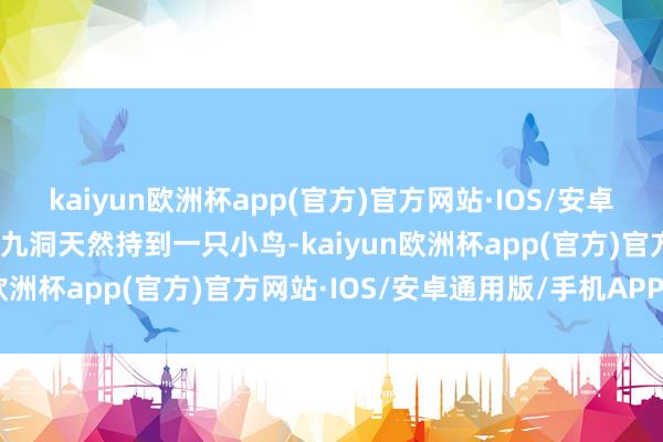 kaiyun欧洲杯app(官方)官方网站·IOS/安卓通用版/手机APP下载后九洞天然持到一只小鸟-kaiyun欧洲杯app(官方)官方网站·IOS/安卓通用版/手机APP下载