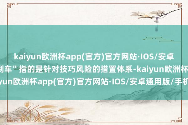 kaiyun欧洲杯app(官方)官方网站·IOS/安卓通用版/手机APP下载“刹车”指的是针对技巧风险的措置体系-kaiyun欧洲杯app(官方)官方网站·IOS/安卓通用版/手机APP下载