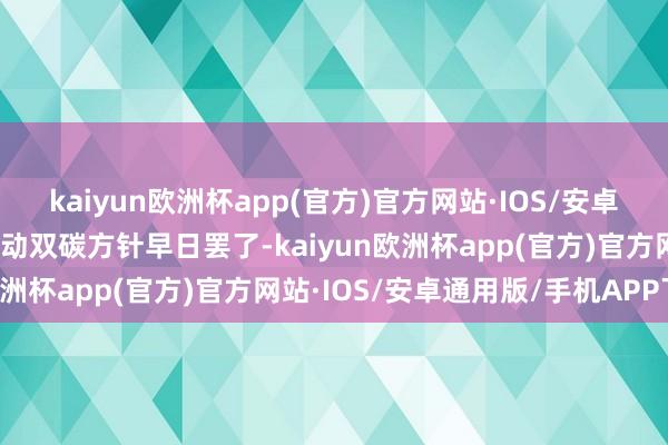 kaiyun欧洲杯app(官方)官方网站·IOS/安卓通用版/手机APP下载推动双碳方针早日罢了-kaiyun欧洲杯app(官方)官方网站·IOS/安卓通用版/手机APP下载