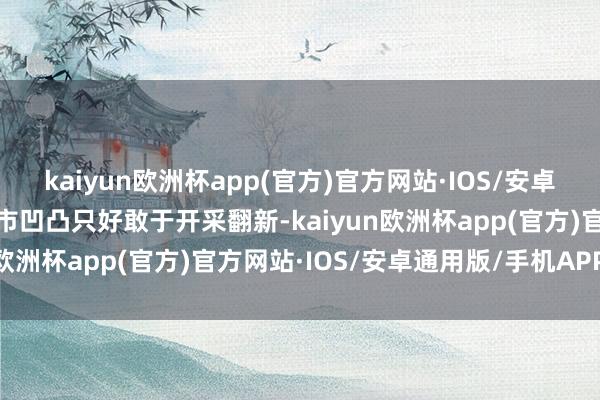 kaiyun欧洲杯app(官方)官方网站·IOS/安卓通用版/手机APP下载全市凹凸只好敢于开采翻新-kaiyun欧洲杯app(官方)官方网站·IOS/安卓通用版/手机APP下载