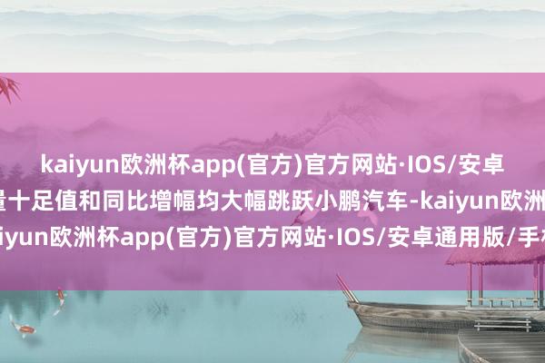 kaiyun欧洲杯app(官方)官方网站·IOS/安卓通用版/手机APP下载销量十足值和同比增幅均大幅跳跃小鹏汽车-kaiyun欧洲杯app(官方)官方网站·IOS/安卓通用版/手机APP下载