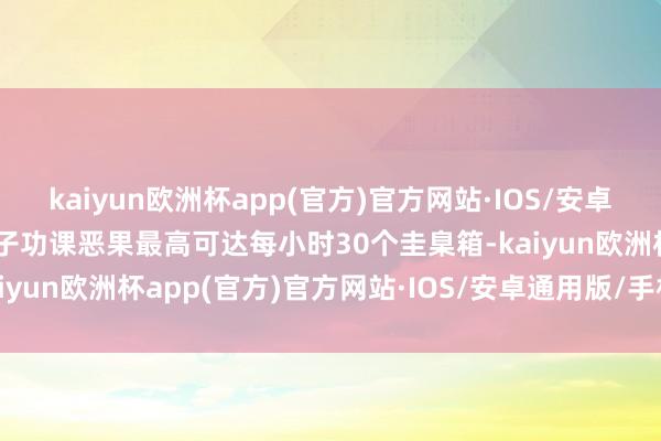 kaiyun欧洲杯app(官方)官方网站·IOS/安卓通用版/手机APP下载骨子功课恶果最高可达每小时30个圭臬箱-kaiyun欧洲杯app(官方)官方网站·IOS/安卓通用版/手机APP下载