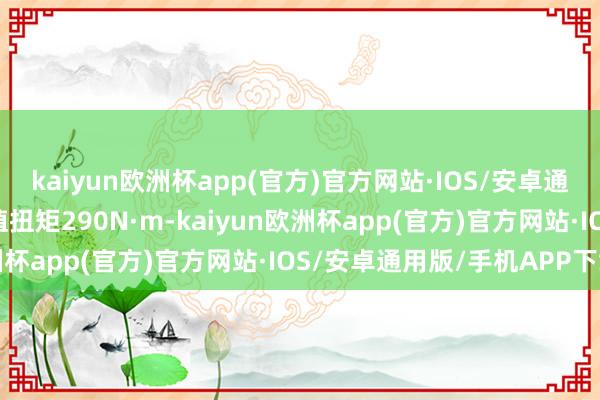 kaiyun欧洲杯app(官方)官方网站·IOS/安卓通用版/手机APP下载峰值扭矩290N·m-kaiyun欧洲杯app(官方)官方网站·IOS/安卓通用版/手机APP下载