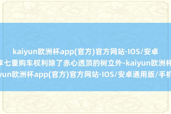 kaiyun欧洲杯app(官方)官方网站·IOS/安卓通用版/手机APP下载尊享七重购车权利除了赤心透顶的树立外-kaiyun欧洲杯app(官方)官方网站·IOS/安卓通用版/手机APP下载