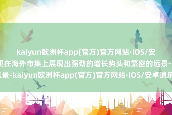 kaiyun欧洲杯app(官方)官方网站·IOS/安卓通用版/手机APP下载更在海外市集上展现出强劲的增长势头和繁密的远景-kaiyun欧洲杯app(官方)官方网站·IOS/安卓通用版/手机APP下载