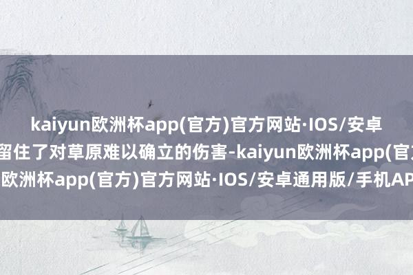 kaiyun欧洲杯app(官方)官方网站·IOS/安卓通用版/手机APP下载还留住了对草原难以确立的伤害-kaiyun欧洲杯app(官方)官方网站·IOS/安卓通用版/手机APP下载