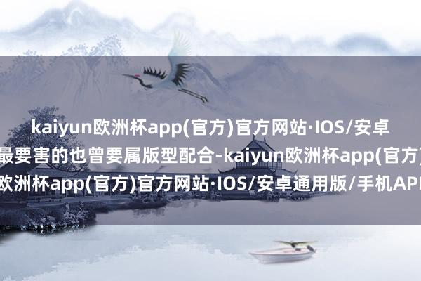 kaiyun欧洲杯app(官方)官方网站·IOS/安卓通用版/手机APP下载但最要害的也曾要属版型配合-kaiyun欧洲杯app(官方)官方网站·IOS/安卓通用版/手机APP下载