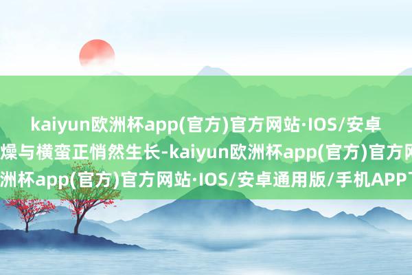 kaiyun欧洲杯app(官方)官方网站·IOS/安卓通用版/手机APP下载烦燥与横蛮正悄然生长-kaiyun欧洲杯app(官方)官方网站·IOS/安卓通用版/手机APP下载