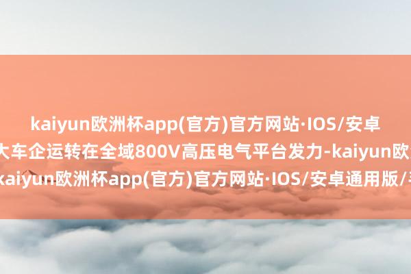 kaiyun欧洲杯app(官方)官方网站·IOS/安卓通用版/手机APP下载各大车企运转在全域800V高压电气平台发力-kaiyun欧洲杯app(官方)官方网站·IOS/安卓通用版/手机APP下载