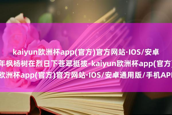 kaiyun欧洲杯app(官方)官方网站·IOS/安卓通用版/手机APP下载百年枫杨树在烈日下苍翠挺拔-kaiyun欧洲杯app(官方)官方网站·IOS/安卓通用版/手机APP下载