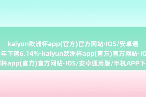 kaiyun欧洲杯app(官方)官方网站·IOS/安卓通用版/手机APP下载近1年下落6.14%-kaiyun欧洲杯app(官方)官方网站·IOS/安卓通用版/手机APP下载