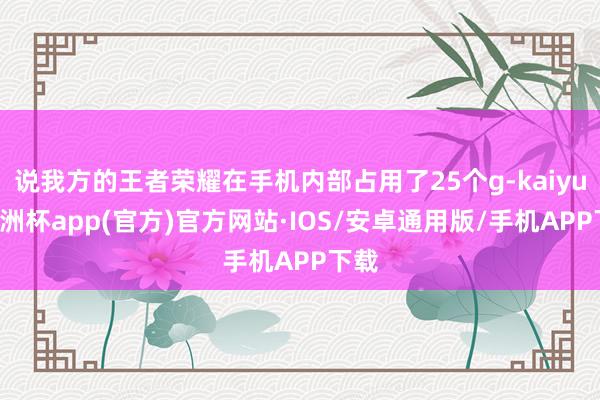 说我方的王者荣耀在手机内部占用了25个g-kaiyun欧洲杯app(官方)官方网站·IOS/安卓通用版/手机APP下载