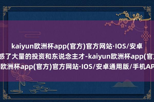 kaiyun欧洲杯app(官方)官方网站·IOS/安卓通用版/手机APP下载眩惑了大量的投资和东说念主才-kaiyun欧洲杯app(官方)官方网站·IOS/安卓通用版/手机APP下载