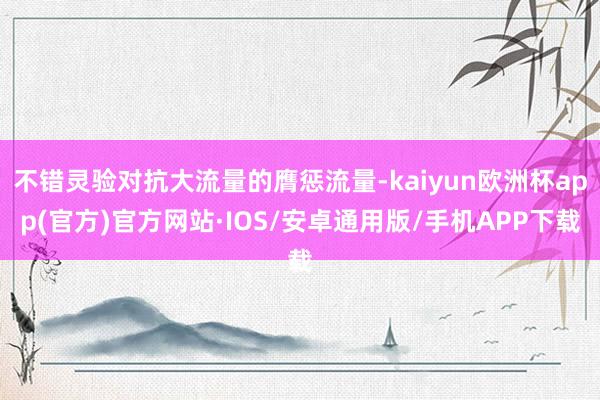 不错灵验对抗大流量的膺惩流量-kaiyun欧洲杯app(官方)官方网站·IOS/安卓通用版/手机APP下载