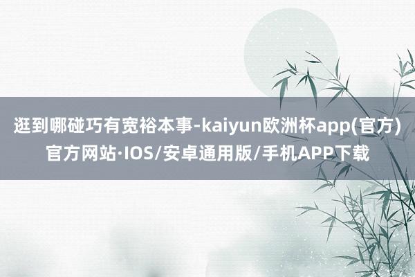 逛到哪碰巧有宽裕本事-kaiyun欧洲杯app(官方)官方网站·IOS/安卓通用版/手机APP下载