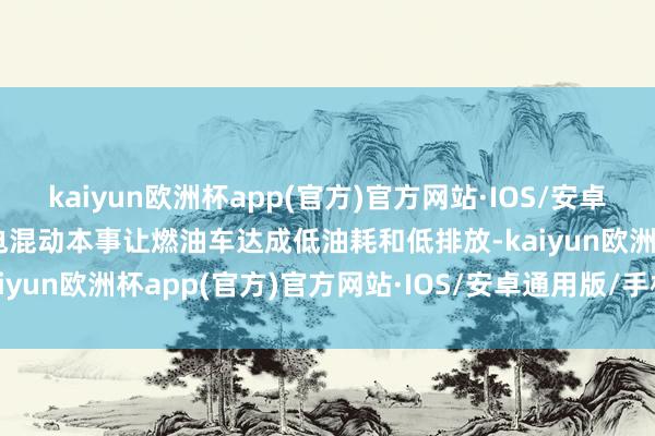 kaiyun欧洲杯app(官方)官方网站·IOS/安卓通用版/手机APP下载油电混动本事让燃油车达成低油耗和低排放-kaiyun欧洲杯app(官方)官方网站·IOS/安卓通用版/手机APP下载