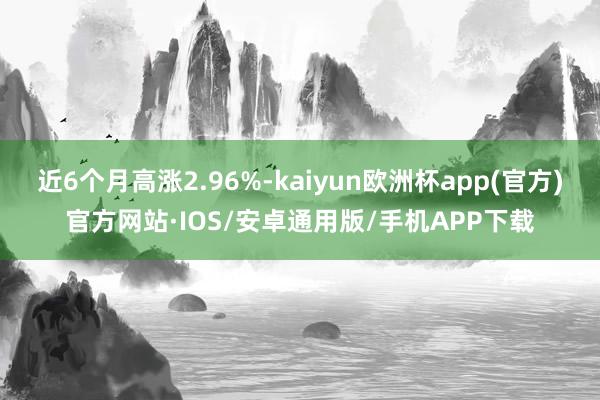 近6个月高涨2.96%-kaiyun欧洲杯app(官方)官方网站·IOS/安卓通用版/手机APP下载