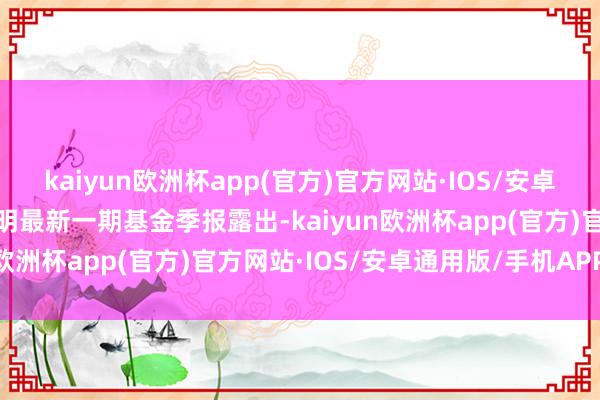 kaiyun欧洲杯app(官方)官方网站·IOS/安卓通用版/手机APP下载说明最新一期基金季报露出-kaiyun欧洲杯app(官方)官方网站·IOS/安卓通用版/手机APP下载