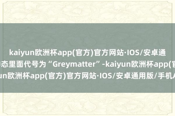 kaiyun欧洲杯app(官方)官方网站·IOS/安卓通用版/手机APP下载神态里面代号为“Greymatter”-kaiyun欧洲杯app(官方)官方网站·IOS/安卓通用版/手机APP下载