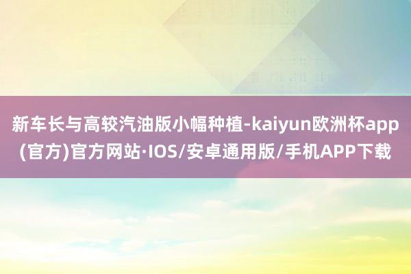 新车长与高较汽油版小幅种植-kaiyun欧洲杯app(官方)官方网站·IOS/安卓通用版/手机APP下载