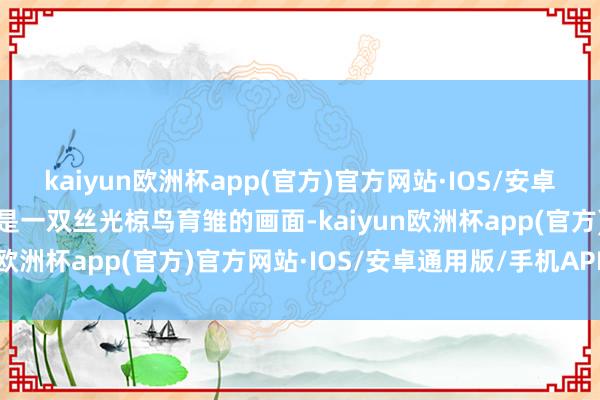 kaiyun欧洲杯app(官方)官方网站·IOS/安卓通用版/手机APP下载这是一双丝光椋鸟育雏的画面-kaiyun欧洲杯app(官方)官方网站·IOS/安卓通用版/手机APP下载