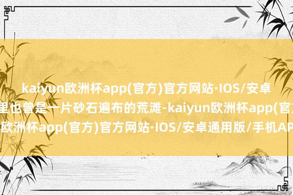 kaiyun欧洲杯app(官方)官方网站·IOS/安卓通用版/手机APP下载这里也曾是一片砂石遍布的荒滩-kaiyun欧洲杯app(官方)官方网站·IOS/安卓通用版/手机APP下载