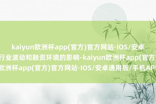 kaiyun欧洲杯app(官方)官方网站·IOS/安卓通用版/手机APP下载受行业波动和融资环境的影响-kaiyun欧洲杯app(官方)官方网站·IOS/安卓通用版/手机APP下载