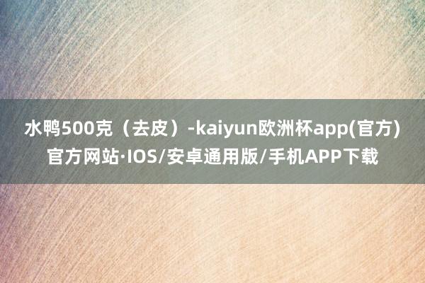 水鸭500克（去皮）-kaiyun欧洲杯app(官方)官方网站·IOS/安卓通用版/手机APP下载