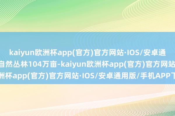 kaiyun欧洲杯app(官方)官方网站·IOS/安卓通用版/手机APP下载领有自然丛林104万亩-kaiyun欧洲杯app(官方)官方网站·IOS/安卓通用版/手机APP下载