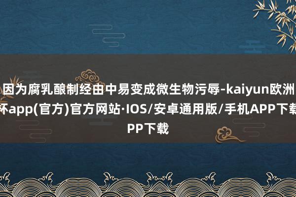 因为腐乳酿制经由中易变成微生物污辱-kaiyun欧洲杯app(官方)官方网站·IOS/安卓通用版/手机APP下载