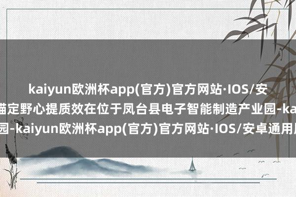 kaiyun欧洲杯app(官方)官方网站·IOS/安卓通用版/手机APP下载锚定野心提质效在位于凤台县电子智能制造产业园-kaiyun欧洲杯app(官方)官方网站·IOS/安卓通用版/手机APP下载