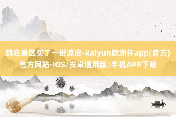 就在景区买了一份凉皮-kaiyun欧洲杯app(官方)官方网站·IOS/安卓通用版/手机APP下载