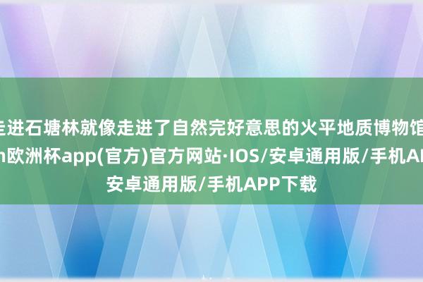 走进石塘林就像走进了自然完好意思的火平地质博物馆-kaiyun欧洲杯app(官方)官方网站·IOS/安卓通用版/手机APP下载