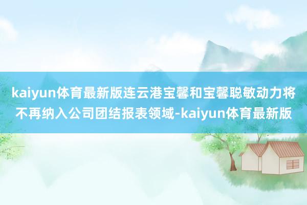 kaiyun体育最新版连云港宝馨和宝馨聪敏动力将不再纳入公司团结报表领域-kaiyun体育最新版